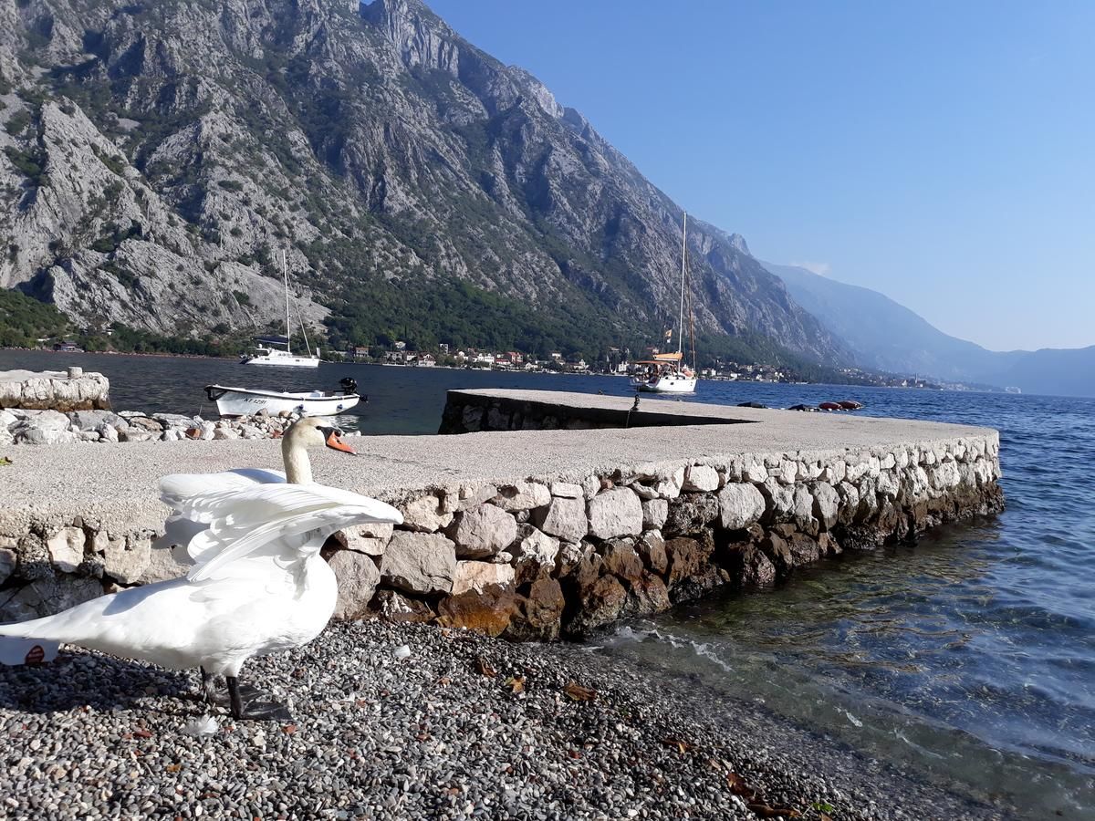 Апартаменты Apartments Nadja Котор-6